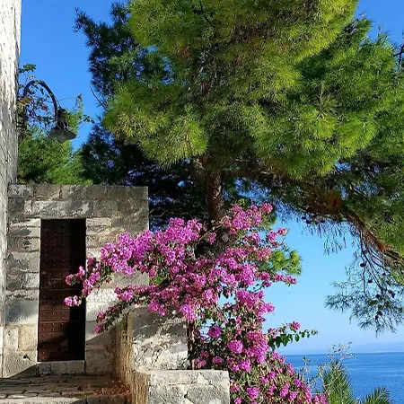 Appartement Demi